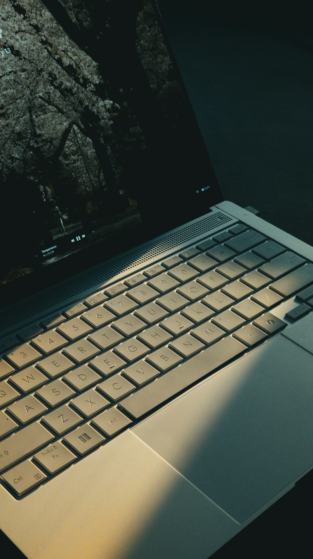 laptop-screen-displays-trees-sunlight-on-keyboard-5lqoq-qn2dq